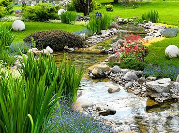 jardin avec un ruisseau