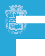 logo F bleu
